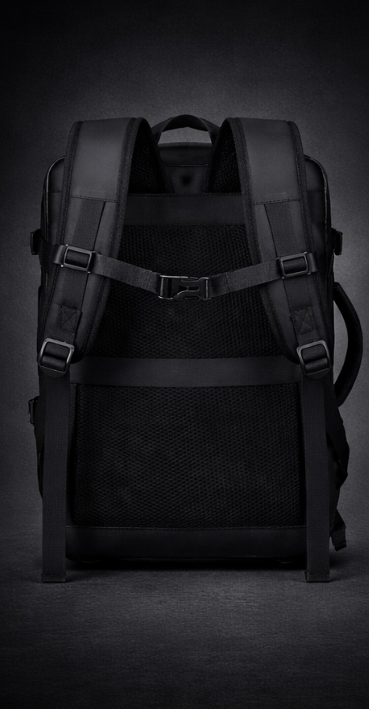 Back panel with luggage sleeve